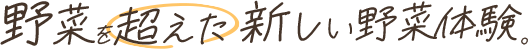 野菜を超えた新しい野菜体験。
